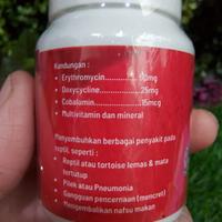 Gambar ECERAN Rept Med / ReptMed Obat Antibiotik Reptil Sakit Torto Iguana BD dari ReptilesInc Kota Administrasi Jakarta Utara 5 Tokopedia