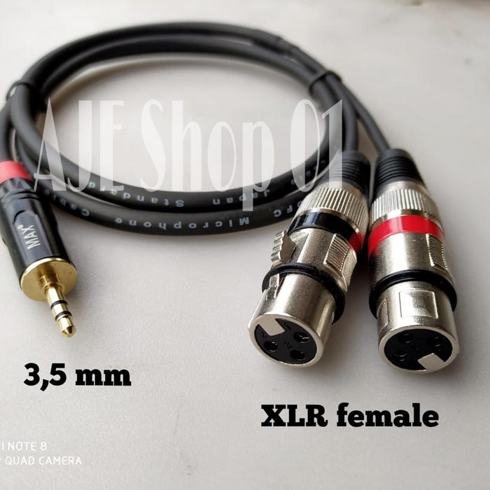 Gambar Kabel jack 3,5 mini stereo to dual xlr dari AJE Shop 01 Kota Tangerang Selatan Tokopedia