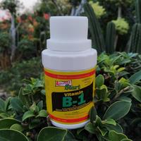 Gambar Vitamin B1 Pupuk Vitamin B1 Tanaman Liquinox Isi 100 ml dari Prima Hemat Kota Tangerang 2 Tokopedia