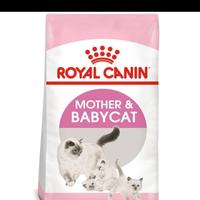 Gambar Royal Canin 2 kg Mother & Babycat RAC027 dari Pet Shop Green Lake Kota Tangerang 1 Tokopedia