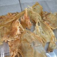 Gambar Hipio Perut Ikan/ Gelembung Ikan/ BellyFish Mentah (KAKAP Kecil) 100gr dari SuhariJaya18 Kota Administrasi Jakarta Barat 3 Tokopedia