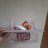 Gambar Takara Tomy Moncolle Pokemon Figure Gigantamax Charizard dari skyandstarstore Kota Bekasi 5 Tokopedia