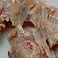 Gambar tulang dada ayam / kerongkong ayam dari fabyan & Fanaya Kota Bandung 1 Tokopedia