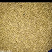 Gambar kacang kedelai impor dari berkah jaya MM Kota Bandung 3 Tokopedia