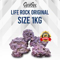 Gambar Caribsea liferock original 1kg Batu Aquarium Air Laut dari Java Reef Kota Administrasi Jakarta Selatan 1 Tokopedia
