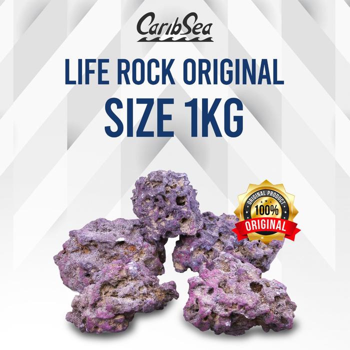 Gambar Caribsea liferock original 1kg Batu Aquarium Air Laut dari Java Reef Kota Administrasi Jakarta Selatan Tokopedia