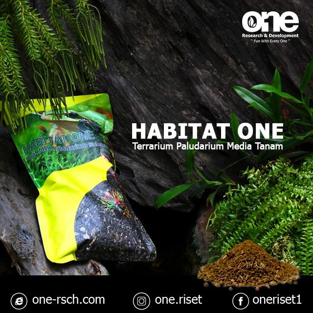 Gambar One riset HABITAT ONE 1 LITER / MEDIA TANAM PALUDARIUM dari Java Reef Kota Administrasi Jakarta Selatan Tokopedia