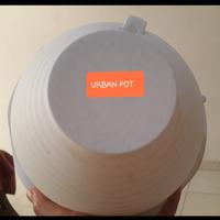 Gambar Pot Gantung Florina No. 8 Putih/ Pot Gantung Lion Star dari urban pot Kota Tangerang 5 Tokopedia