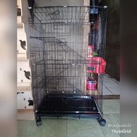 Gambar kandang lipat kucing/anjing tingkat 3 dari olshopindah20 Jakarta Timur 1 Tokopedia