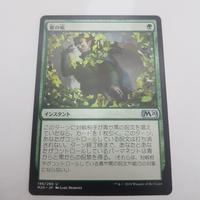 Gambar Veil Of Summer JP, MTG SINGLES dari SilkRoad Games Hub Kota Administrasi Jakarta Timur 1 Tokopedia