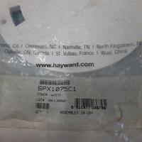 Gambar Tutup Skimmer Box SPX1075c Hayward | Skimmer Kolam Renang dari IDEAL POOLS SHOP Kota Depok 3 Tokopedia