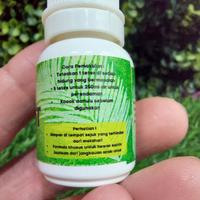 Gambar Rept Snot Obat Pilek Flu Reptil Kura Sulcata Istar Gecko BD Iguana dari ReptilesInc Kota Administrasi Jakarta Utara 3 Tokopedia