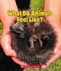 Gambar What Do Animals Feel Like? - Reading English By Scholastic dari Republikfiksi Kota Administrasi Jakarta Selatan 1 Tokopedia