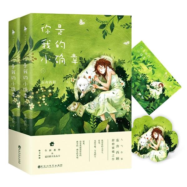 Gambar Buku novel mandarin impor ni shi wo de xiao que xing 2buku dari @shopbook.07 Kota Batam Tokopedia