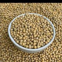 Gambar kacang kedelai impor dari berkah jaya MM Kota Bandung 2 Tokopedia