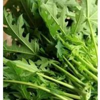 Gambar daun pepaya sayur dari Rahmawati 0nline Store Kab. Pangandaran 2 Tokopedia