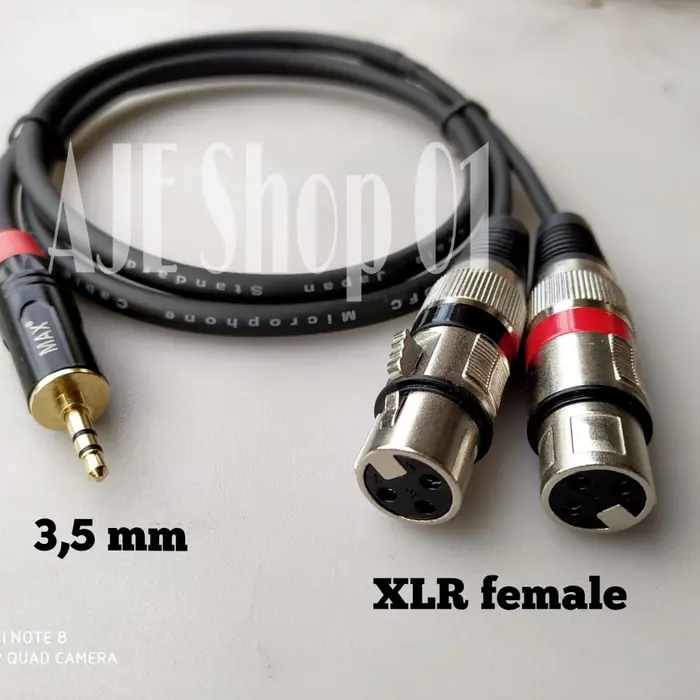 Gambar Kabel jack 3,5 mini stereo to dual xlr dari AJE Shop 01 Kota Tangerang Selatan 4 Tokopedia