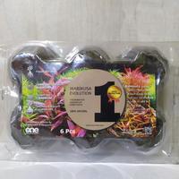 Gambar One Research Evolution wabikusa isi 6 dari Java Reef Kota Administrasi Jakarta Selatan 1 Tokopedia
