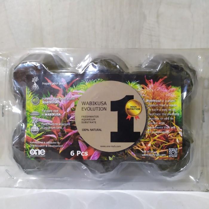 Gambar One Research Evolution wabikusa isi 6 dari Java Reef Kota Administrasi Jakarta Selatan Tokopedia