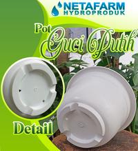 Gambar POT BUNGA / Tanaman Hias - POT Guci Putih D - 12,5 cm dari NETAFARM Kab. Sidoarjo 3 Tokopedia