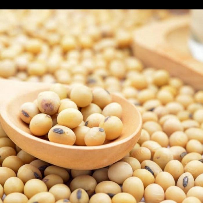 Gambar kacang kedelai impor dari berkah jaya MM Kota Bandung Tokopedia