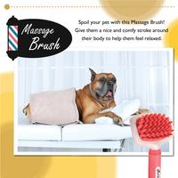 Gambar Massage Brush Sikat Pijat untuk hewan dari PetMura132 Kota Administrasi Jakarta Utara 1 Tokopedia