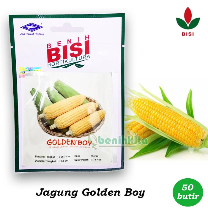 Gambar Benih-Bibit Jagung Manis Golden Boy (BISI) dari benihkita Kota Depok Tokopedia