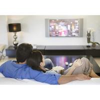 Gambar ANTENA TV DIGITAL LUAR DALAM INDOOR OUTDOOR AOKI AT3000 dari A1 ELECTRIC Kota Pekalongan 4 Tokopedia