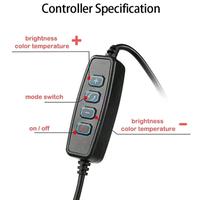 Gambar Paket Tripod 26cm + Lampu Ring Light LED 26cm 10Inc Selfie Tiktok Vlog - TRIPOD SAJA dari Ciptawarna2000 Home Living Kota Palembang 2 Tokopedia