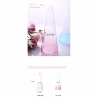 Gambar Nordic Style Gradient Slim Vase | Vas Bunga Kaca - Unik - Model Eropa - S dari Dt.Shop Medan Kota Medan 5 Tokopedia