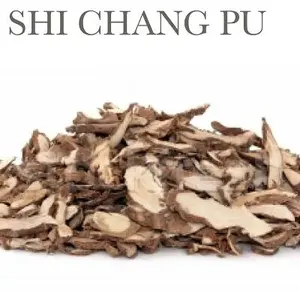 100 G GR GRAM SHI CHANG PU ACORUS GRASSLEAF SWEETFLAG RHIZOME