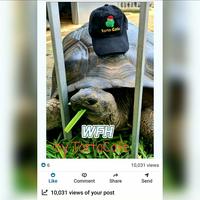 Gambar T-Balance 150 gram utk kura2 darat dari TortoCafe Kota Tangerang 2 Tokopedia