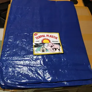 Terpal plastik 2 x 4 (A2 )