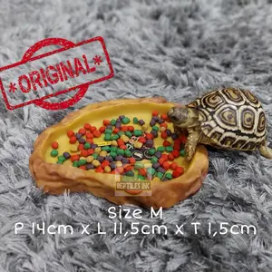 Exoterra Feeding Dish M / Wadah Tempat Makan Reptil Torto Kura kura