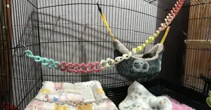 rantai panjat mainan kandang sugar glider