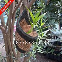 Gambar pot bunga sabut kelapa kombinasi model kerucut dari Omah Pot Kebumen Kab. Kebumen 1 Tokopedia