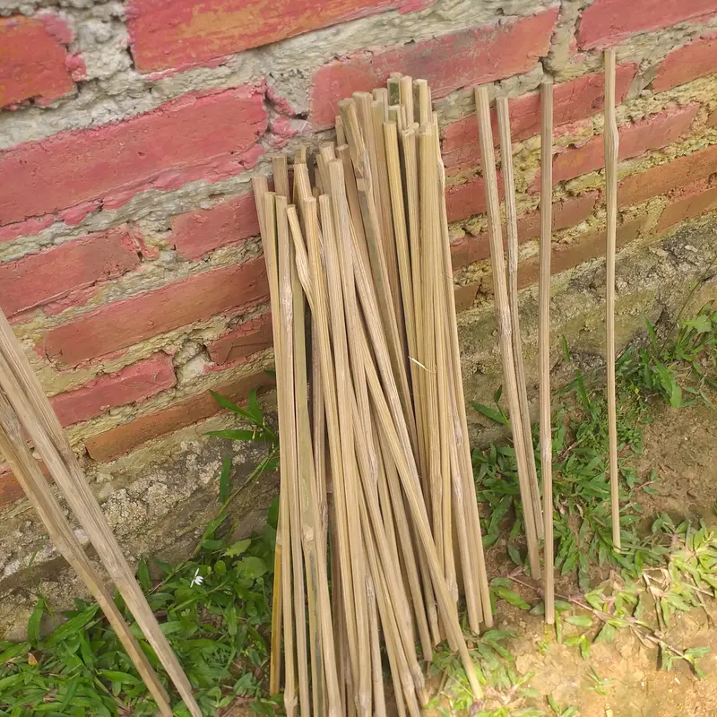 Turus Tanaman Ajir Plant Stake Bambu raut 25cm 1