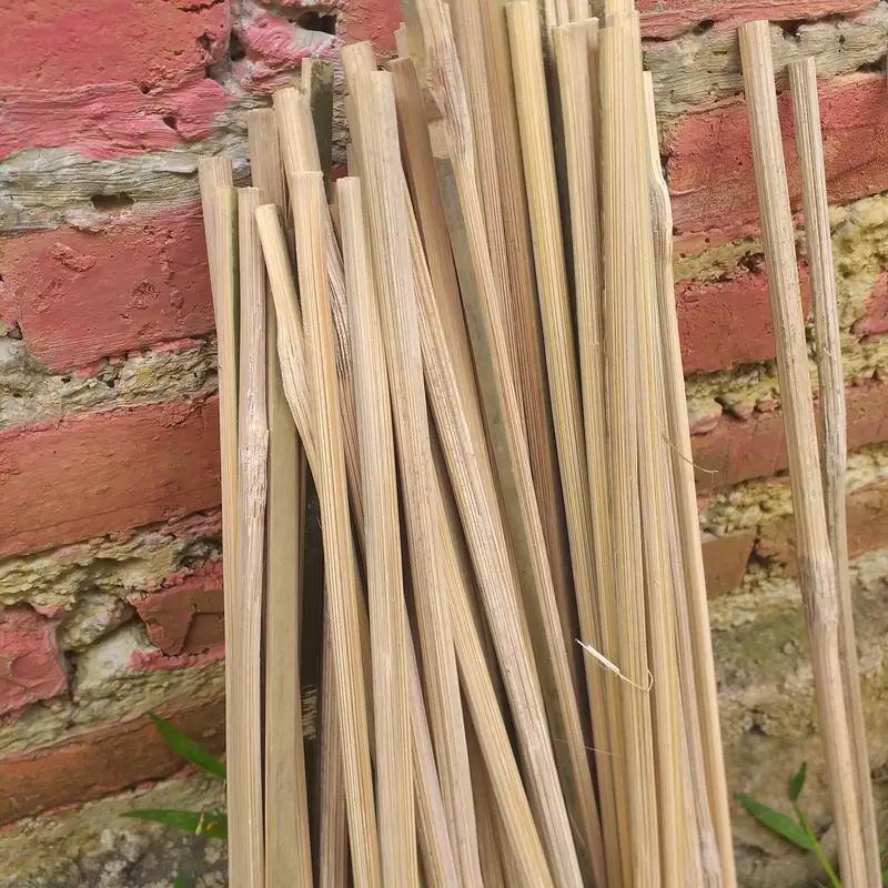Turus Tanaman Ajir Plant Stake Bambu raut 25cm 0