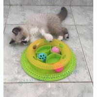 Gambar Snack Creative Ball / Mainan Bola Tempat Makan Kucing dari Malaikat Kucing Store Kota Sukabumi 2 Tokopedia