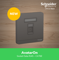Gambar Schneider Electric AvatarOn Dark Grey Data Soc RJ45 CAT6E E8331RJS6_DG dari Schneider Electric Indonesia Kab. Bekasi 1 Tokopedia
