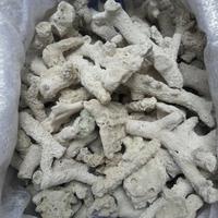 Gambar Karang Jahe Ph Up Menaikkan Kadar Ph air Aquarium serta Buffer Alami dari Yekita Betta Gallery Kab. Bandung 1 Tokopedia