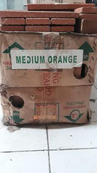 Gambar Bata Homogen Nomor PO GP8489 - Orange Medium dari GavrielPhone Kota Bekasi 3 Tokopedia