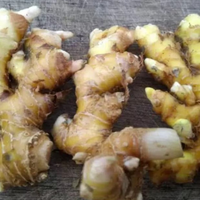 Gambar Lempuyang 500 gr dari Happy musta shop Kota Administrasi Jakarta Pusat 1 Tokopedia