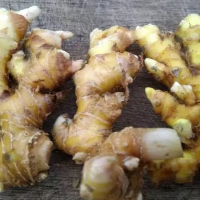 Gambar Lempuyang 500 gr dari Happy musta shop Kota Administrasi Jakarta Pusat Tokopedia