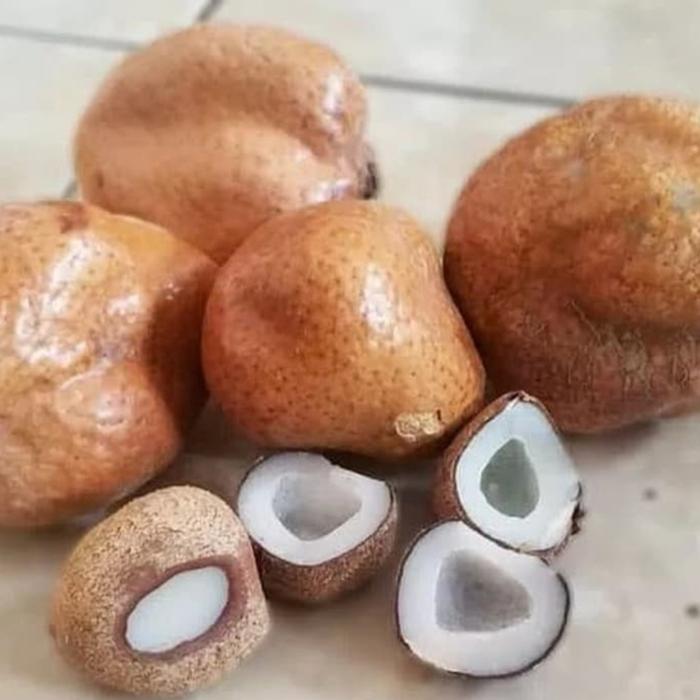 Gambar buah zuriat 1kg promil dari Tokomekahstore Jakarta Pusat Tokopedia