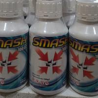 Gambar Smash 100 EC Obat Nyamuk ini 500 Mili dari Ari Teknik Kab. Bogor 2 Tokopedia