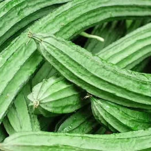 Gambar oyong 500gr dari Aneka Sayuran Segar Kota Administrasi Jakarta Utara Tokopedia