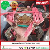 Gambar KEPITING BAKAU HIDUP 1 EKOR/Kepiting betina teloran 300-500 gr dari Rumah Salmon Jakarta Kota Administrasi Jakarta Utara 3 Tokopedia