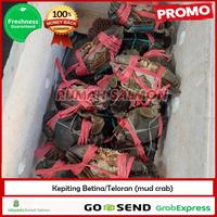 Gambar KEPITING BAKAU HIDUP 1 EKOR/Kepiting betina teloran 300-500 gr dari Rumah Salmon Jakarta Kota Administrasi Jakarta Utara 1 Tokopedia