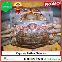 Gambar KEPITING BAKAU HIDUP 1 EKOR/Kepiting betina teloran 300-500 gr dari Rumah Salmon Jakarta Kota Administrasi Jakarta Utara 4 Tokopedia